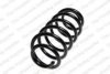 ROC CS6791 Coil Spring